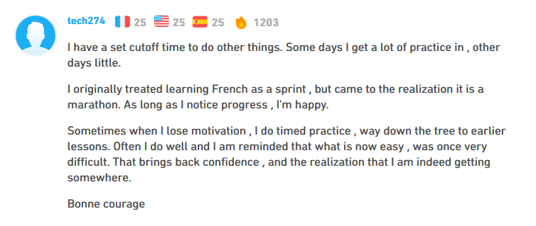 Tech274 Duolingo Forums Comment